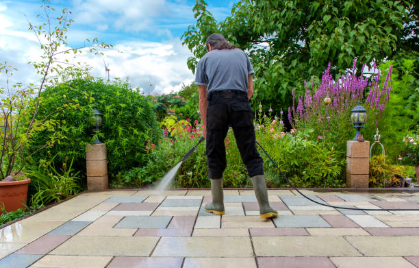 Best Driveway Pressure Washing  in Sullivan, IL